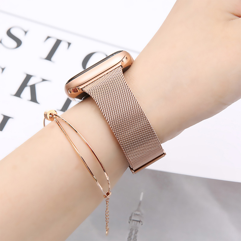 Milanese Loop for Apple Watch  - Mesh Coil Strip 评论和价格